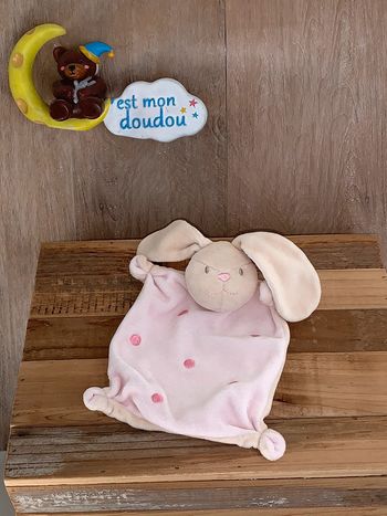 ABS06 doudou lapin 🐰absorba