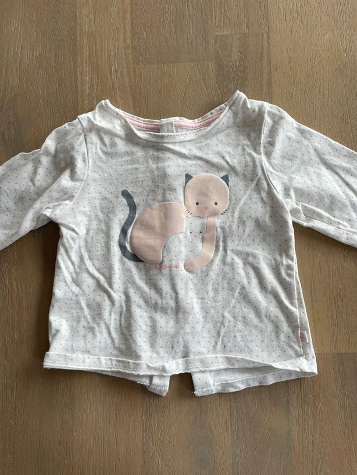 Haut chat - photo numéro 2