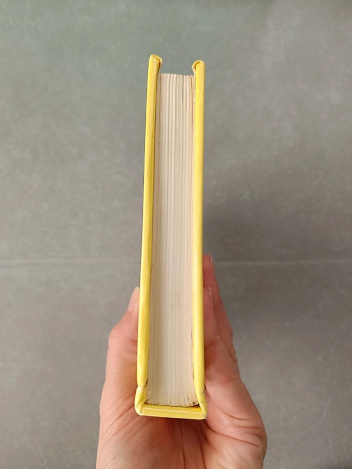 Livre Les malheurs de Sophie - photo numéro 4