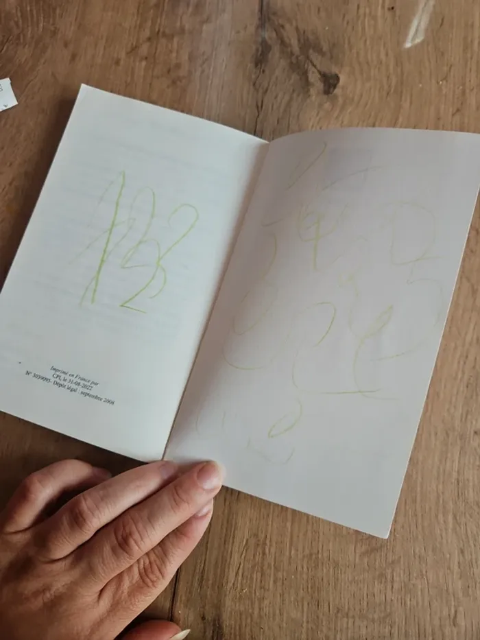 Livre L'odyssée - photo numéro 4