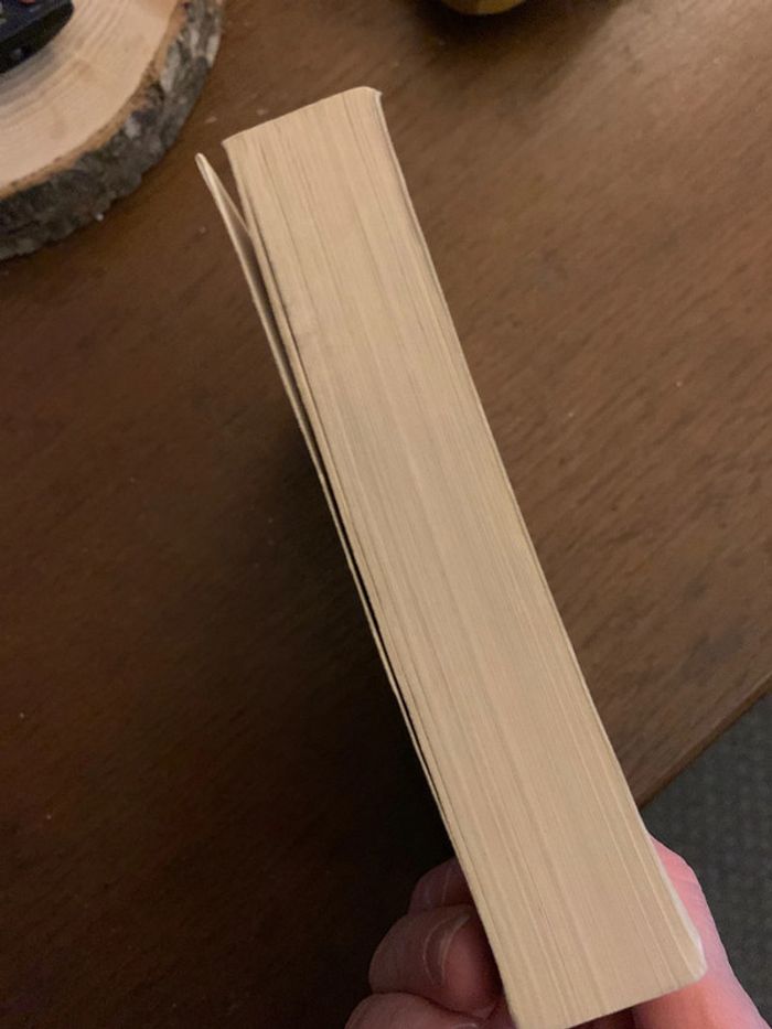 Loving frank - photo numéro 4