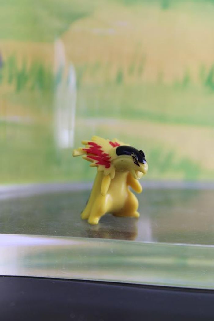 Figurine Pokemeon Typhlosion PK china