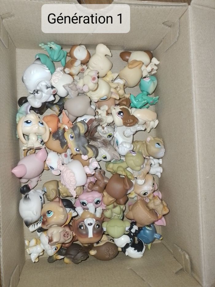 Petshop