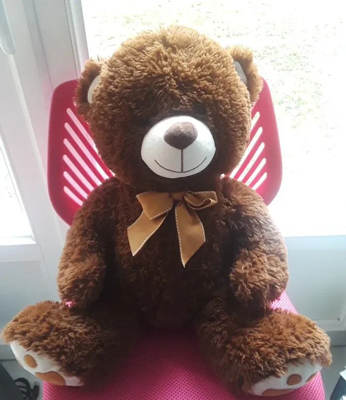 Nounours - photo numéro 2