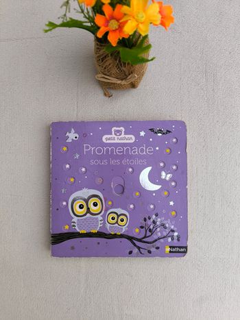 Livre Promenade sous les étoiles Nathan