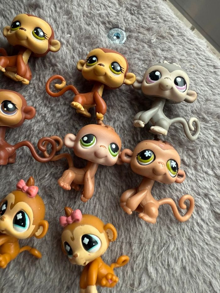 Lot petshop singe - photo numéro 5