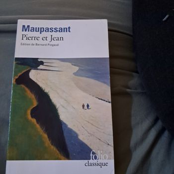 Livre Pierre et Jean 
