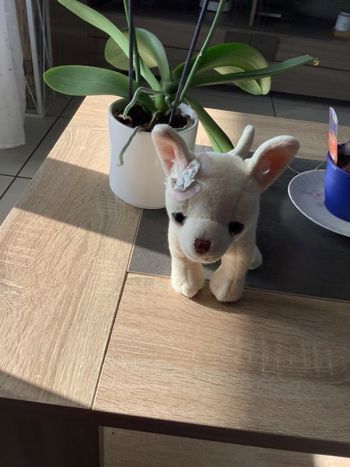 Peluche chien hauteur 18 cm longueur 25 cm marque bukanski