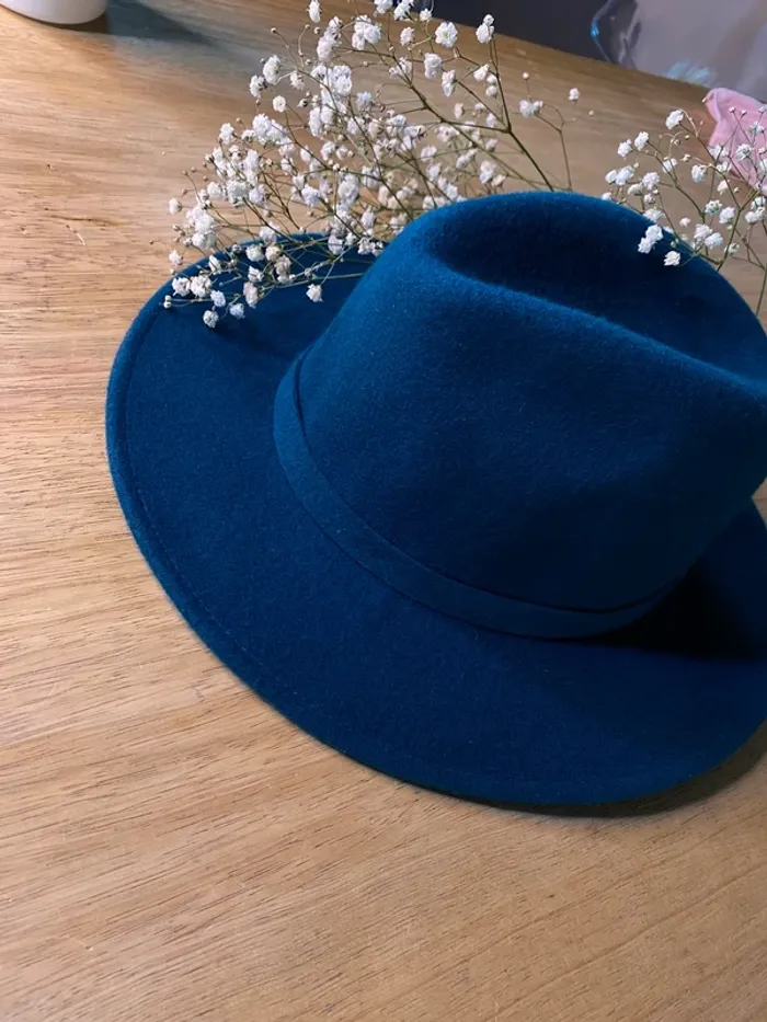 Chapeau vert - photo numéro 2