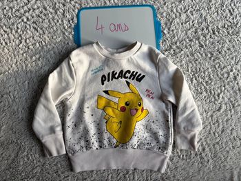Sweat Pokémon 4 ans