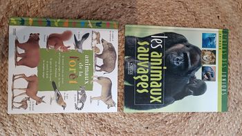 Lot de 2 livres éducatifs sur les animaux