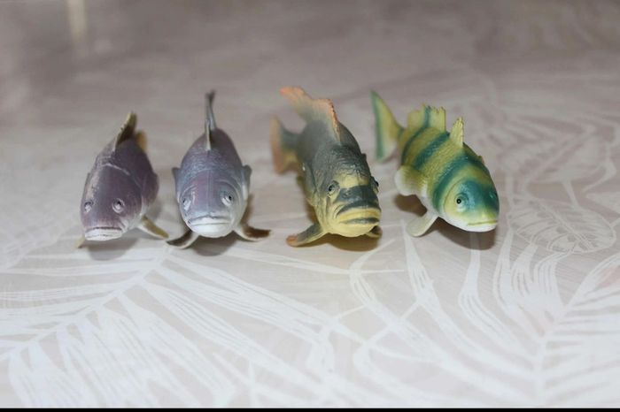 lot poissons - photo numéro 2