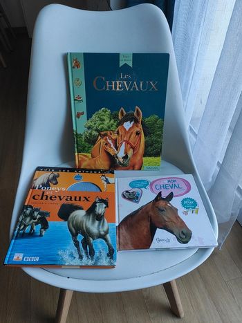 Lot de 3 livres sur les chevaux