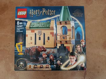 Neuf - Lego harry Potter - 76387 - Poudlard : Rencontre avec Touffu