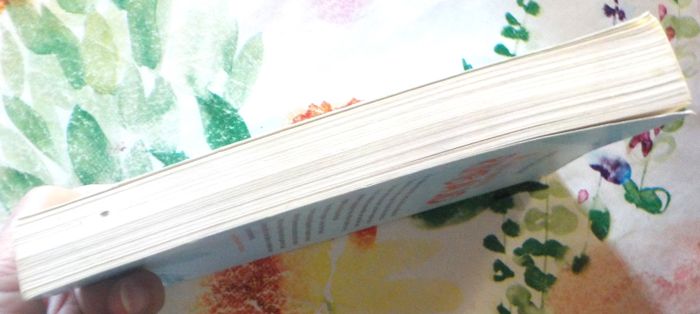 UN ADO NOMME RIMBAUD de Sophie DOUDET Ed. Scrinéo - photo numéro 6