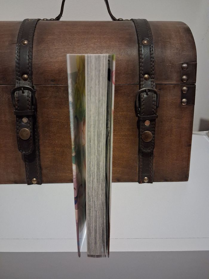 Manga Kamisama School jaquette collector alternative exclusive - photo numéro 3