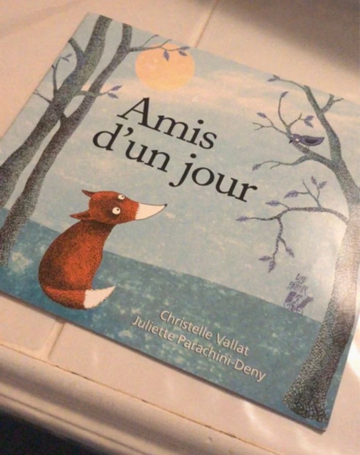 Livre Amis d’un jour