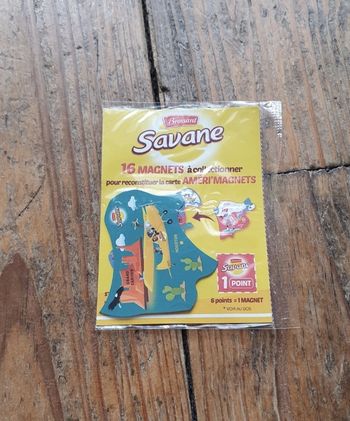 Améri'magnet Savane Grand Canyon