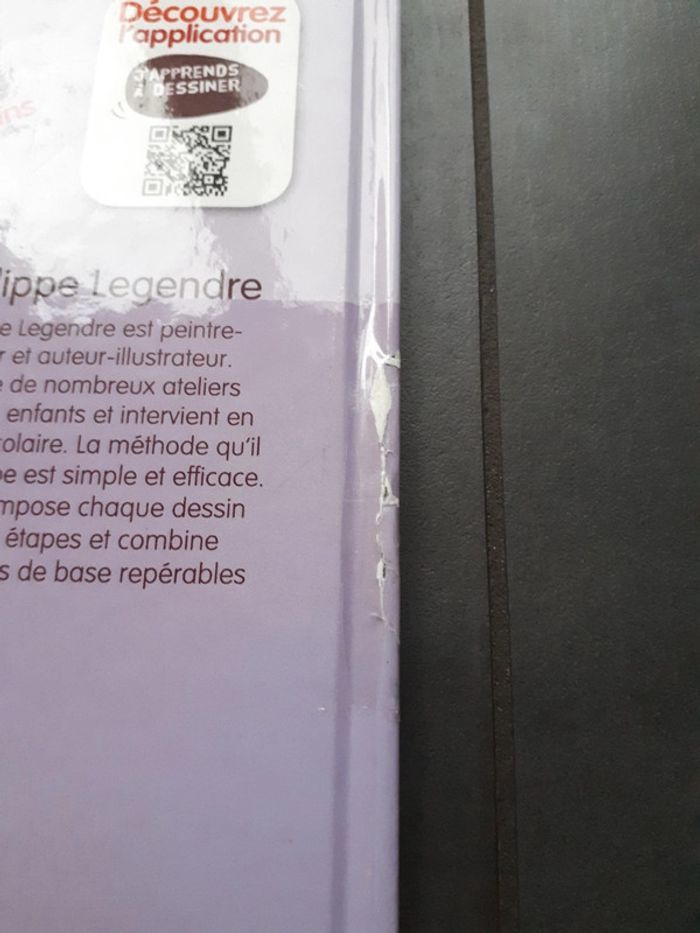 J'apprends à dessiner les fées - photo numéro 3