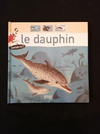 Dauphin