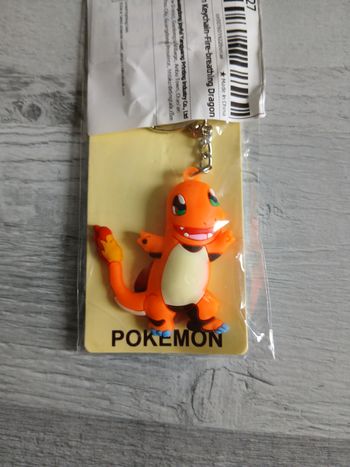 Porte clés pokemon