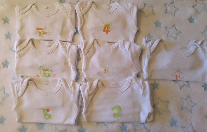 Lot de 7 bodies in extenso