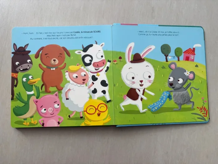 Petit lapin cherche son doudou - photo numéro 6