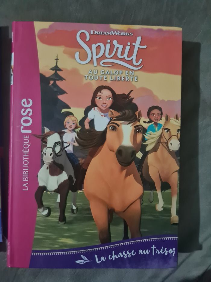 Spirit livre - photo numéro 3
