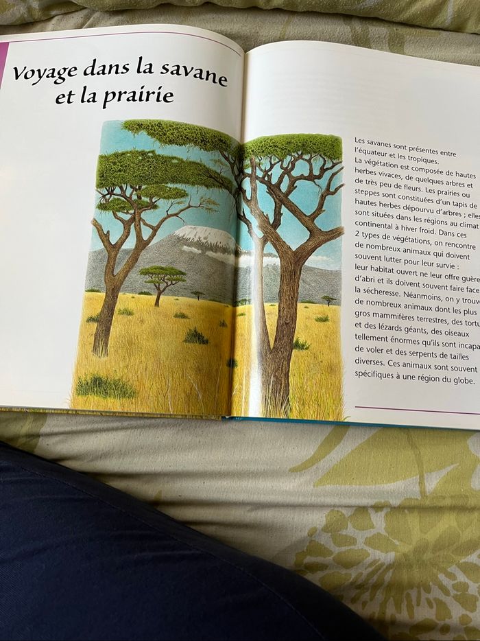 Livre   Ma première encyclopédie des animaux neuf - photo numéro 4