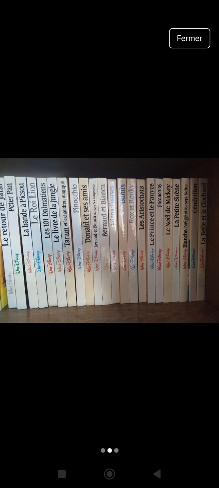Livre Walt Disney