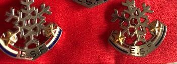 Insigne  médaille de l’Ecole  de  Ski Française ( au choix)