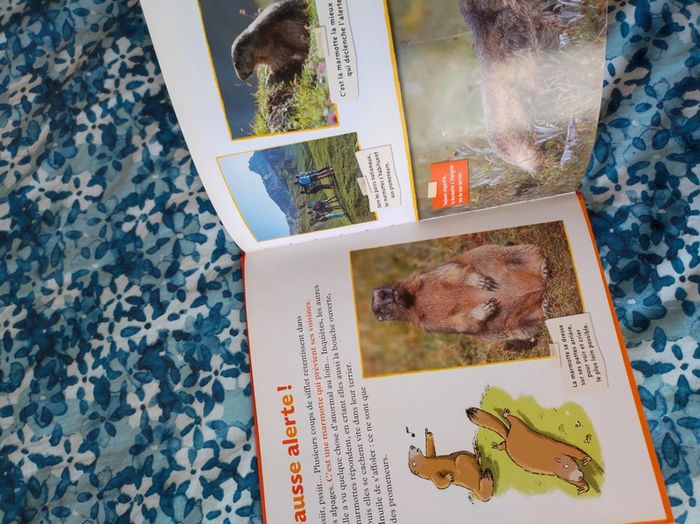 Livre album La Marmotte - photo numéro 7