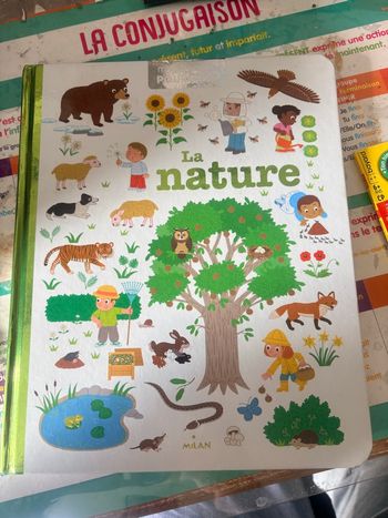 Livre jeunesse découverte mes années pourquoi la nature