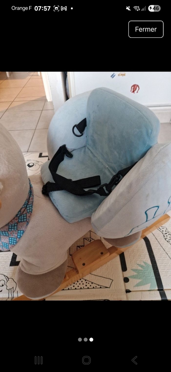 Chien a bascule nattou - photo numéro 3