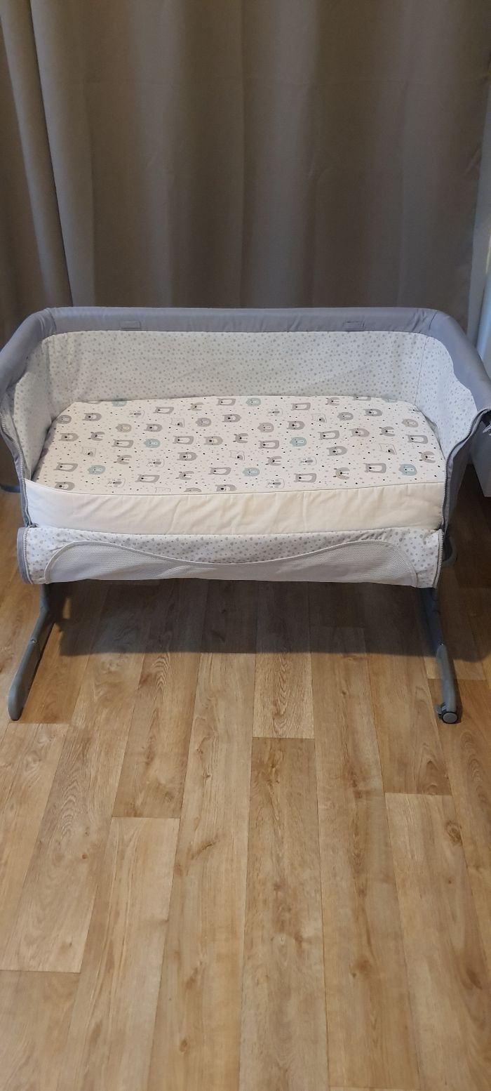 Cododo chicco next to me - photo numéro 2