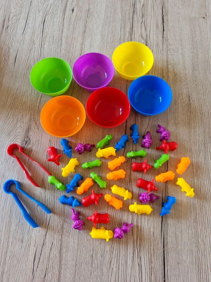 Jeu éducatif tri de couleurs et animaux Montessori