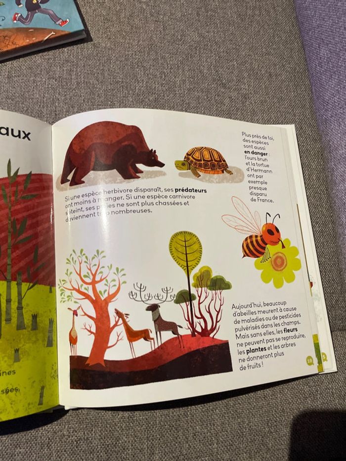 Mes p’tites questions L’écologie - photo numéro 3