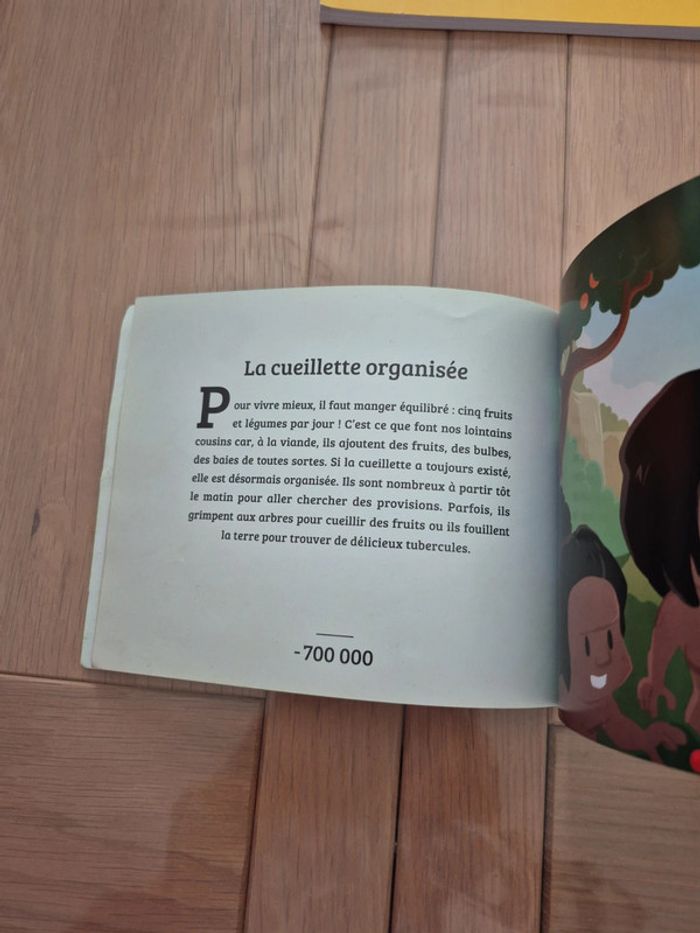 Livre Préhistoire  les premiers pas de l'homme - photo numéro 6