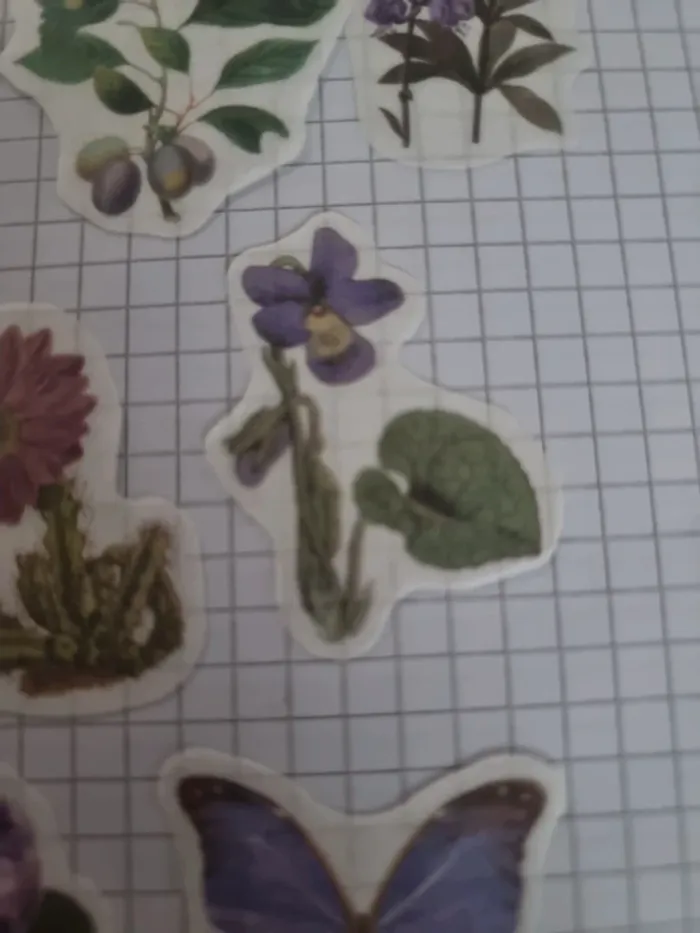 Lot stickers fleuri papier (lot D) - photo numéro 5