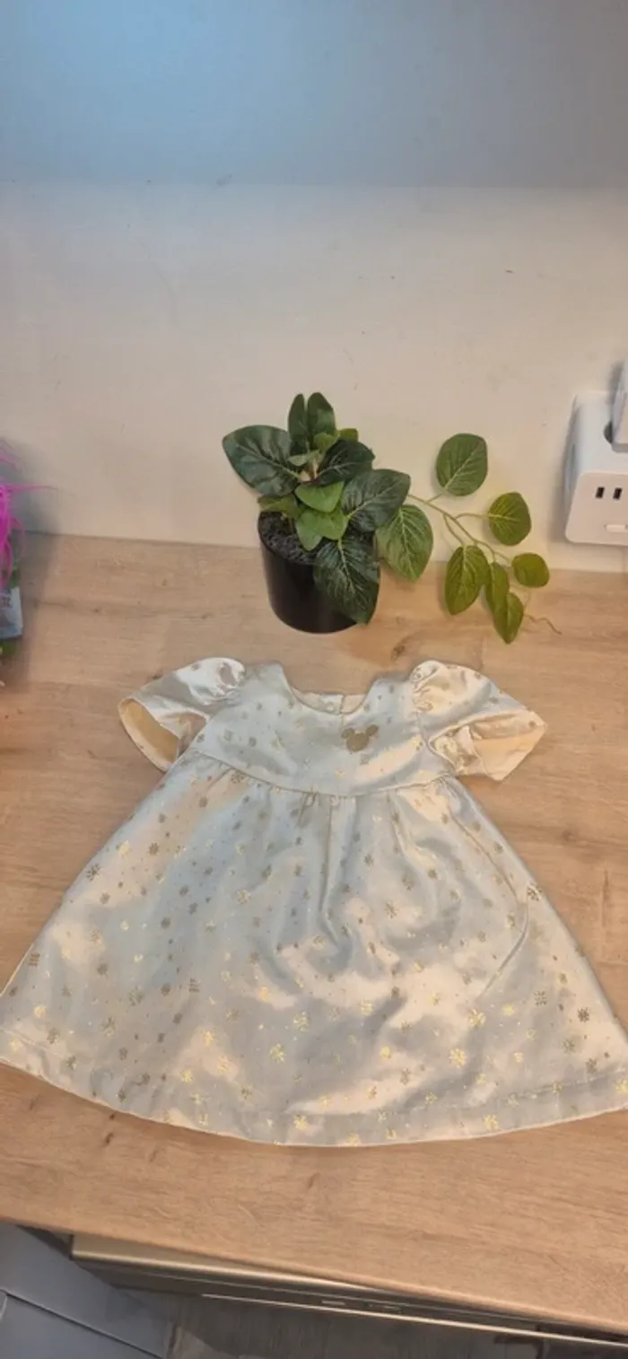 Robe princesse disneyland paris
