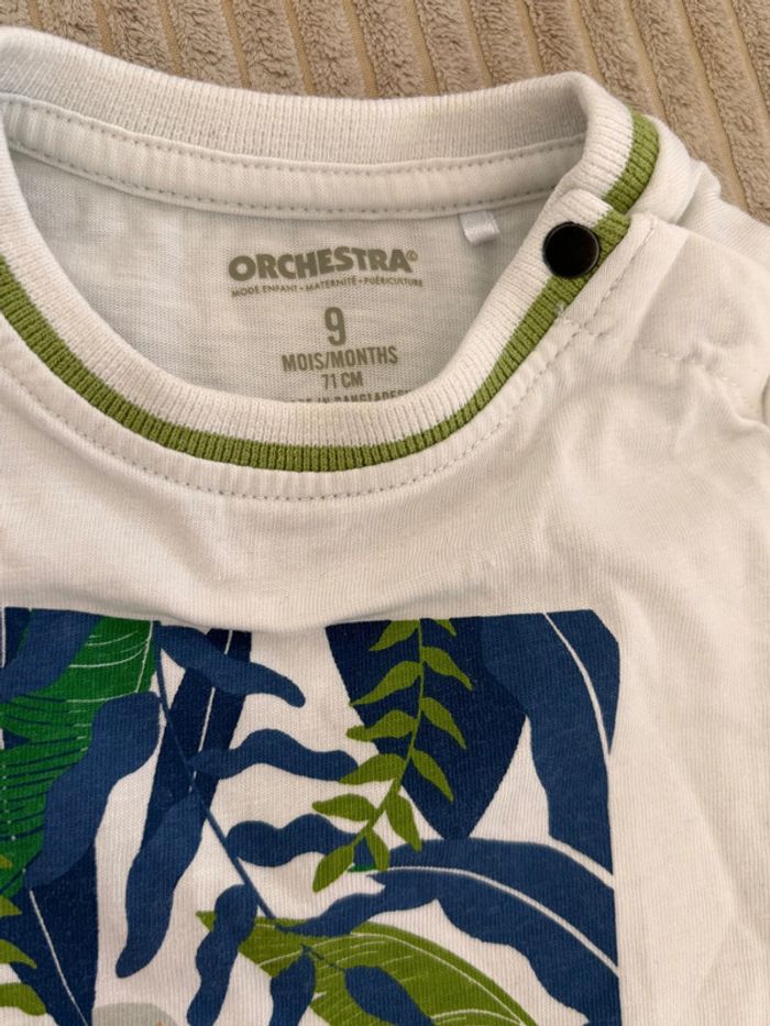 Ensemble - photo numéro 3