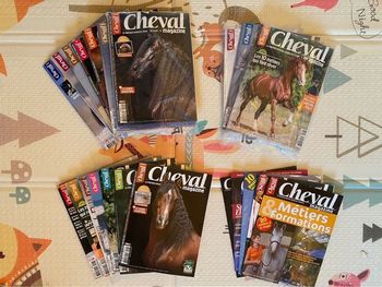 Lot 17 revues cheval magazine