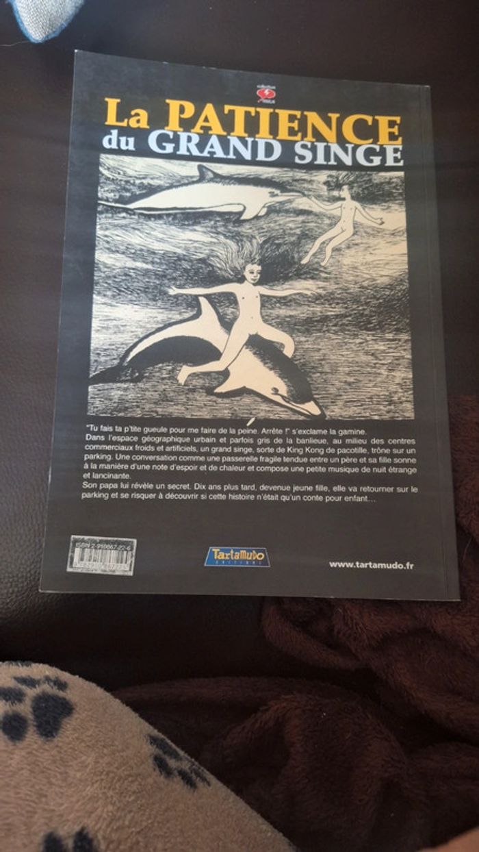 Livre patience du grand singe bd pl - photo numéro 3