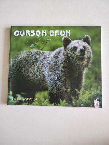 Livre Ourson brun