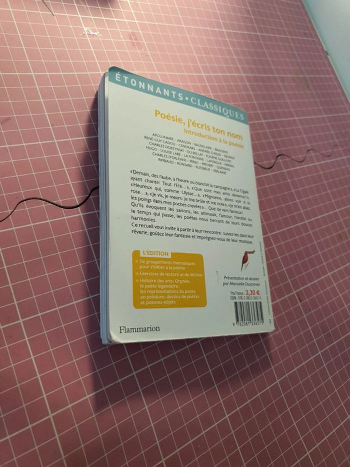 poésie, j'écris ton nom - photo numéro 2