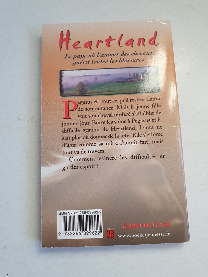 Heartland 3: Une nouvelle chance? - photo numéro 2