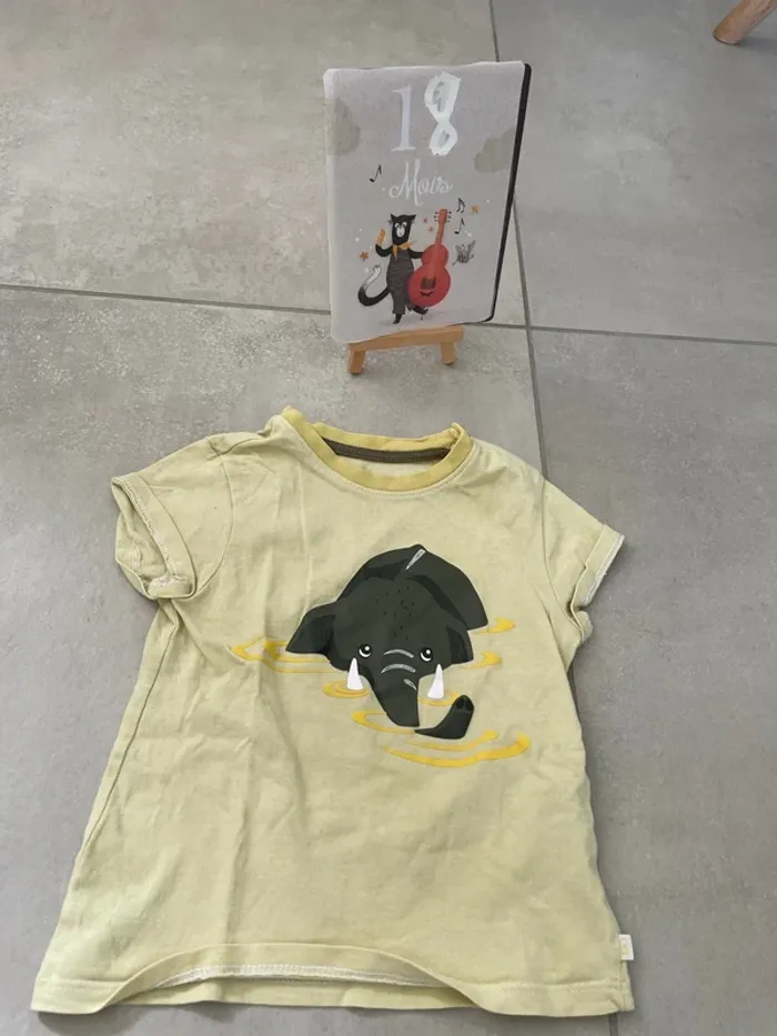Lot de tee-shirts manches courtes - photo numéro 4