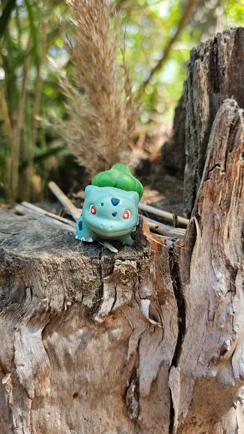 Super figurine Pokemon Nintendo Bulbizarre