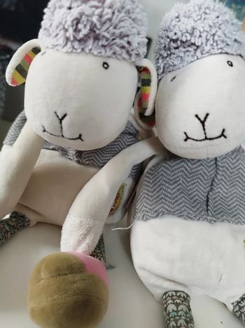 Lot Mouton Moulin Roty