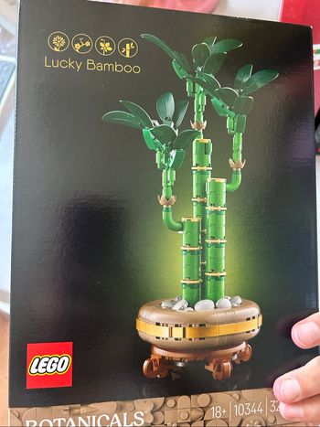 Lego bambou 10344